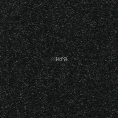 Ковровая плитка Balsan Dolce Vita 995 фото 2 | FLOORDEALER